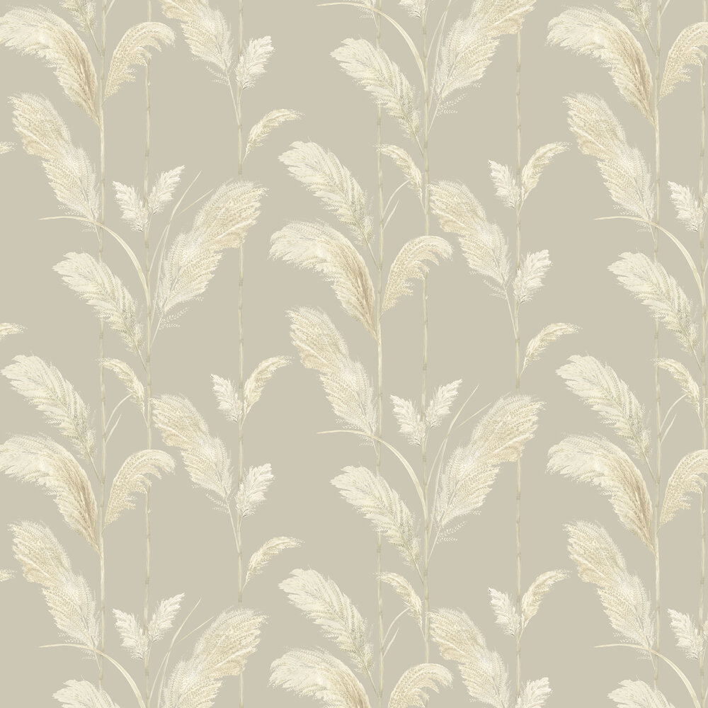 Pampas Grass Wallpaper - Oatmeal - by Brand McKenzie