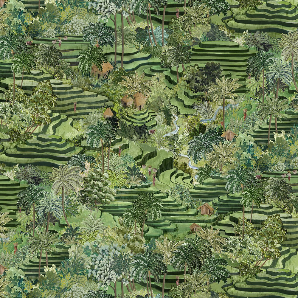 Rice Terrace Max Wallpaper - Grass Green - by Brand McKenzie