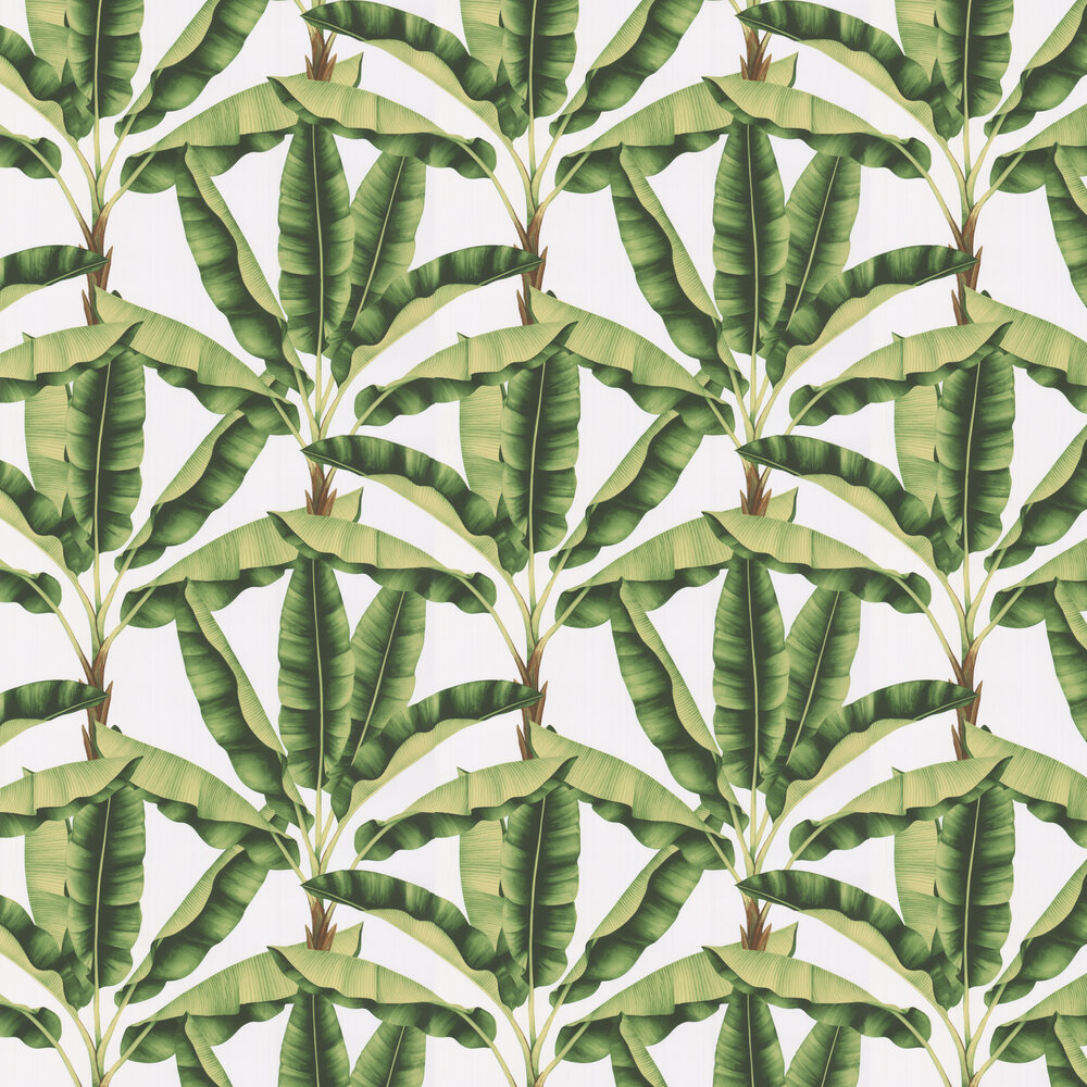 Musa Wallpaper - Green - by Arthouse