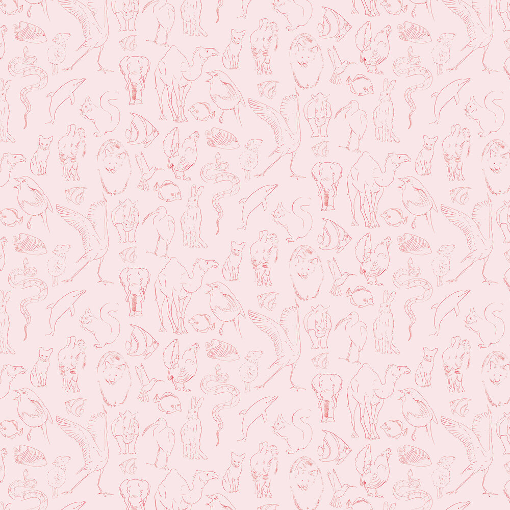 Zoology Wallpaper - Candy - by Coordonne