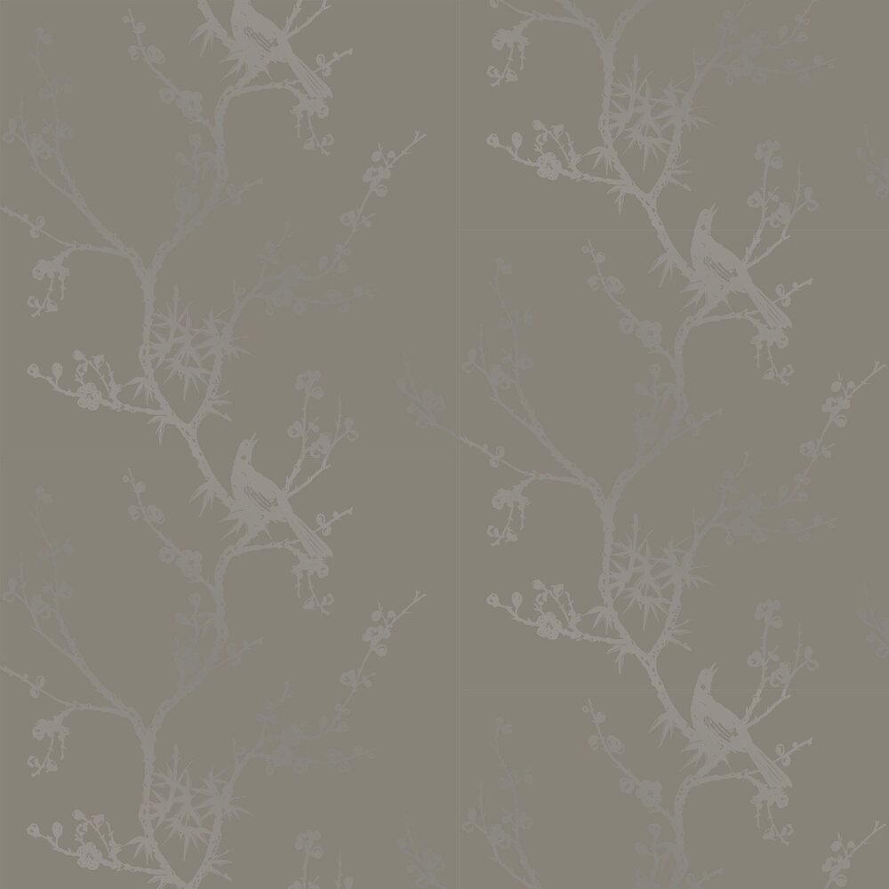 Bird Watching Wallpaper - Dove Grey - by Tempaper
