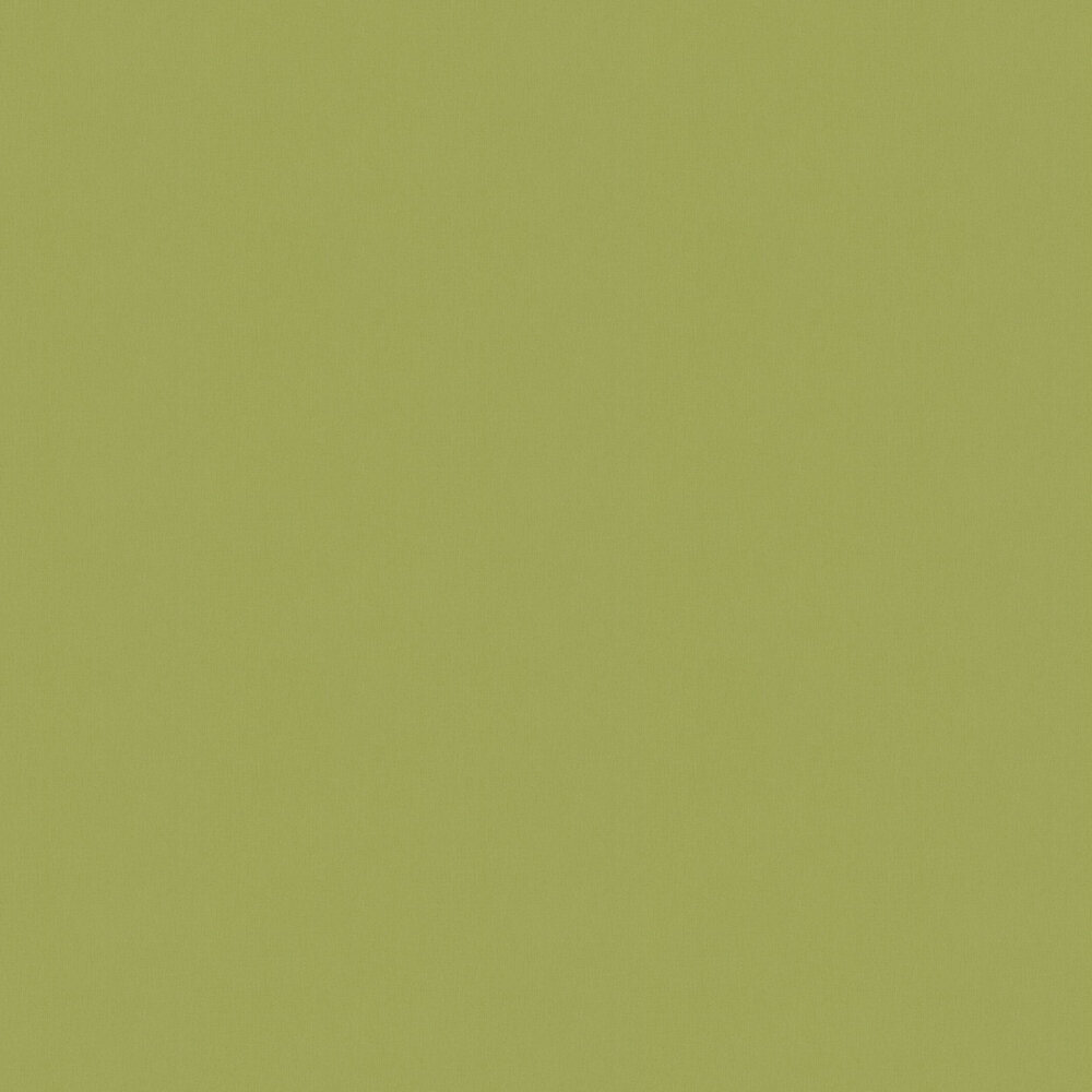Plain Wallpaper - Green - by Architects Paper