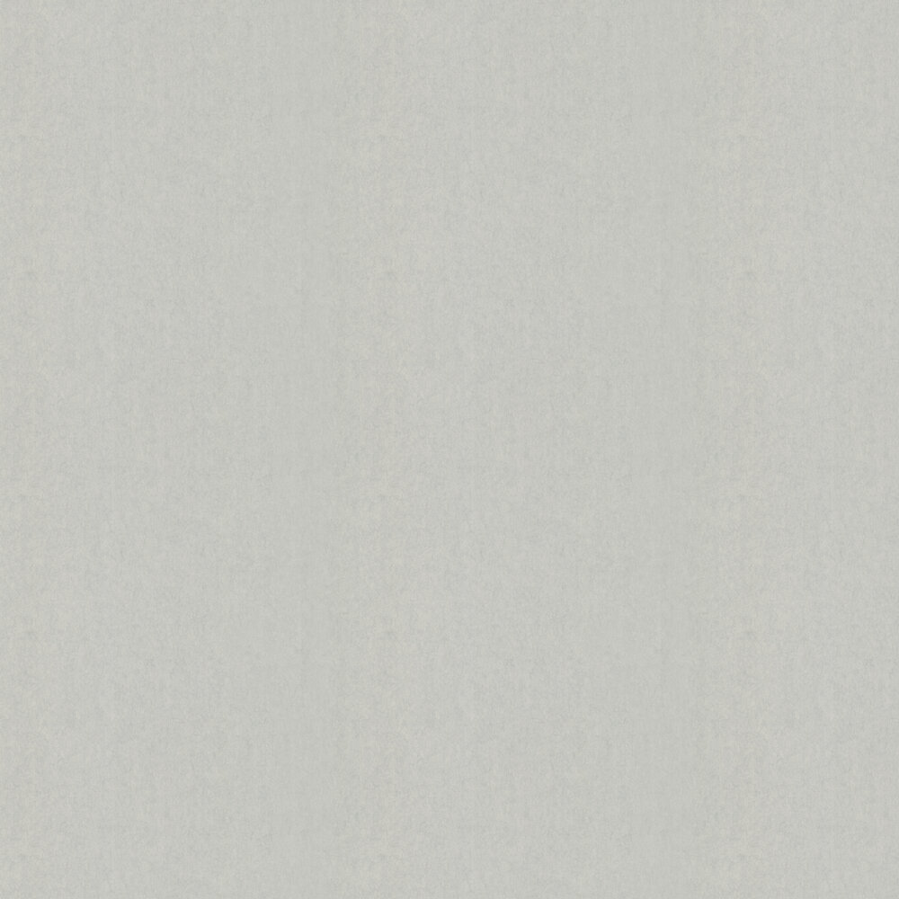 Silky Wallpaper - Light Grey - by Chivasso