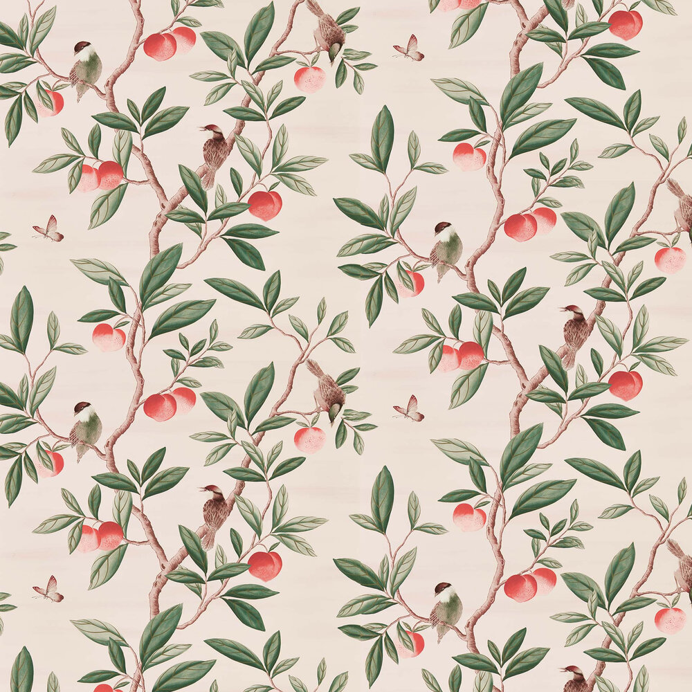 Ella  Wallpaper - Powder/ Sage / Peach - by Harlequin