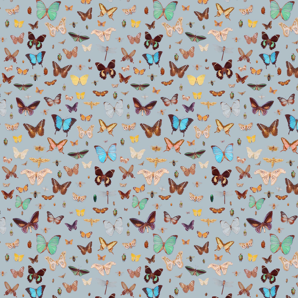 Bugs and Butterflies Wallpaper - Multi-coloured - by Ella Doran