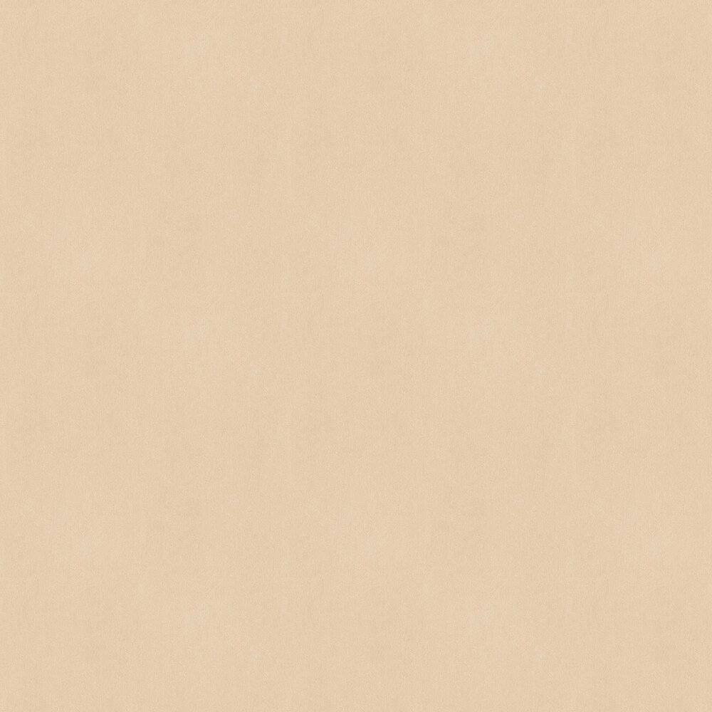 Plain nude background