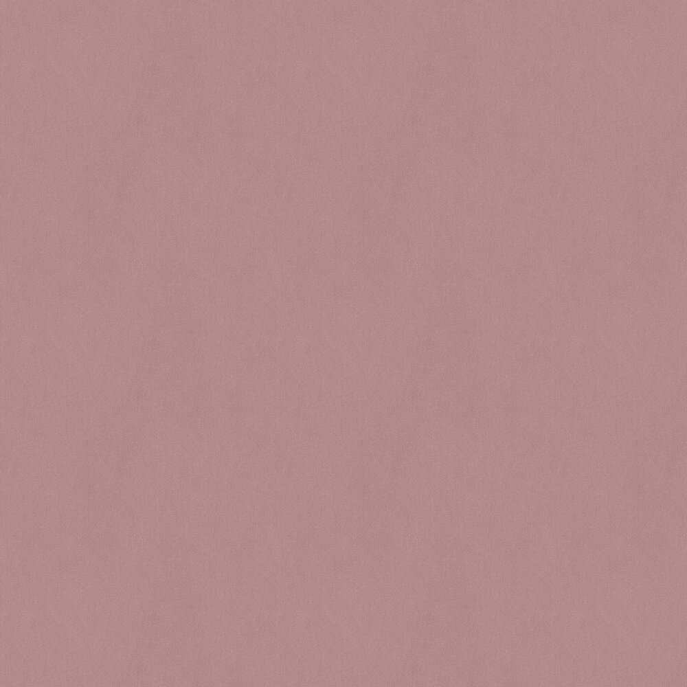 Dream Plain Wallpaper - Dusty Pink - by Albany