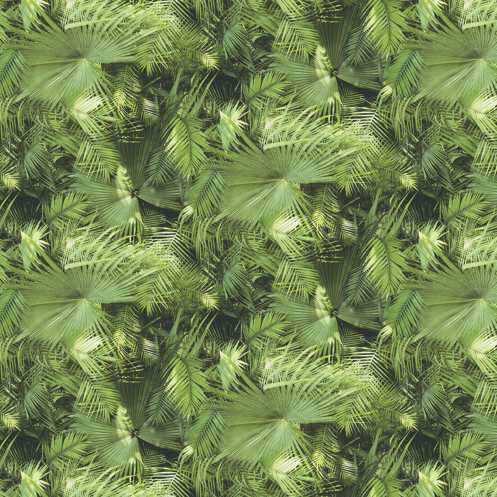 Palm Leaf Wallpaper - Green - by The Wall Cover