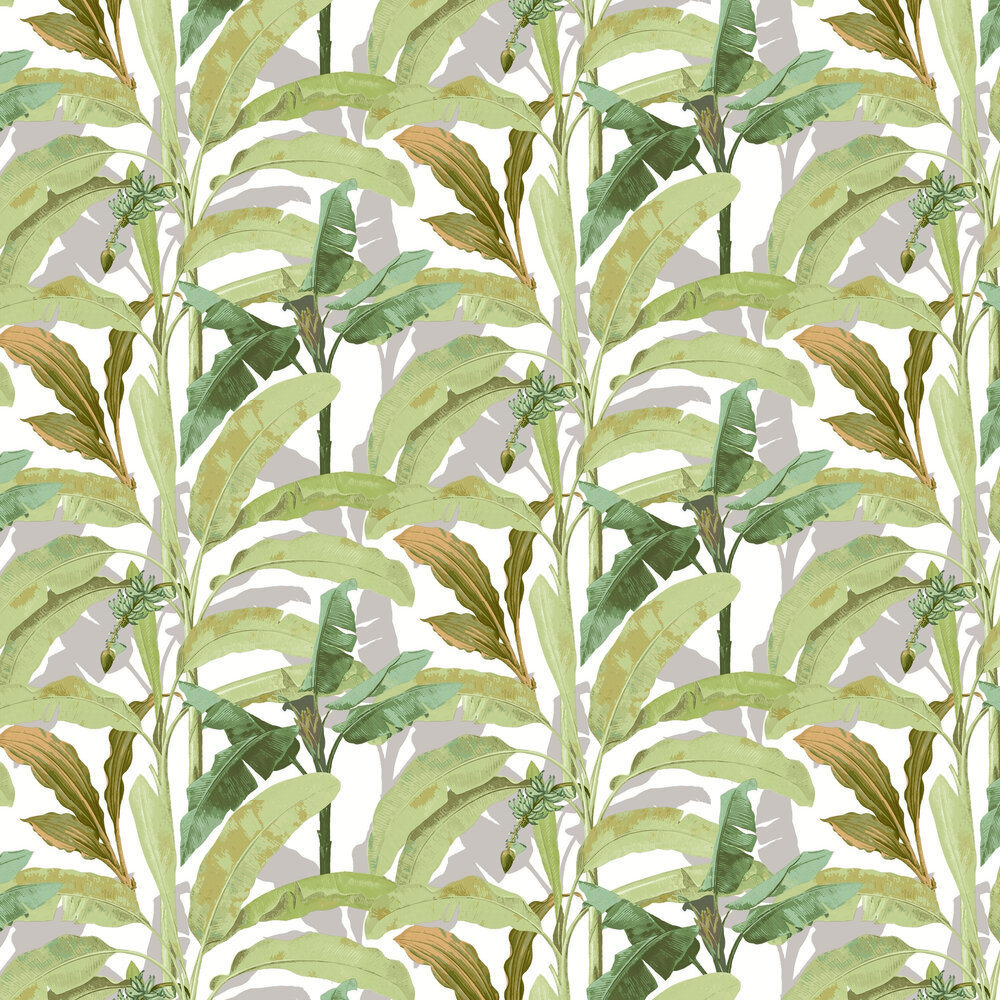 Banana Palm Wallpaper - Green - by Galerie