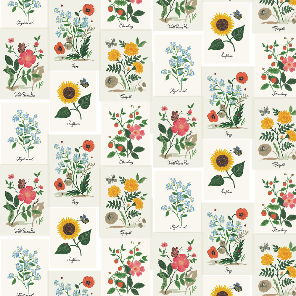 Botanical Prints Wallpaper - White - by Rifle Paper Co.