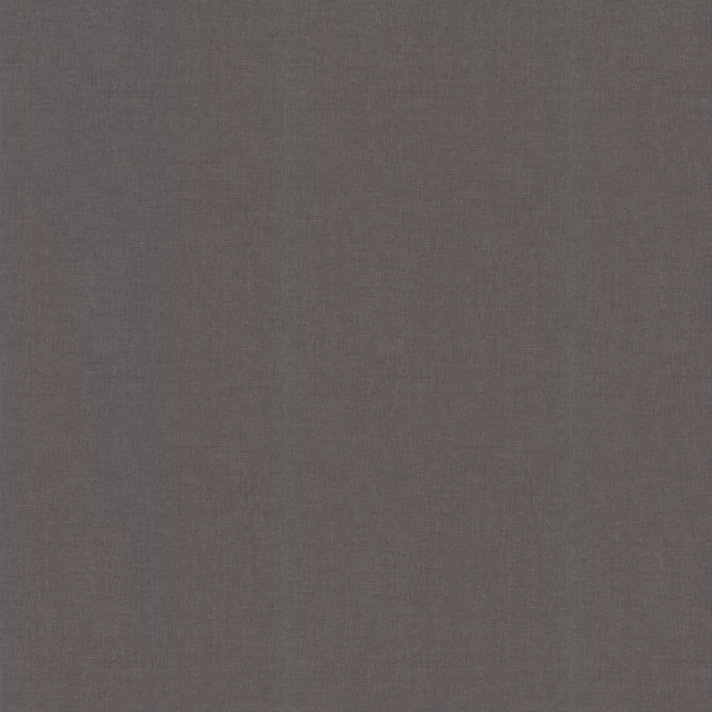 Caselio Wallpaper Uni Metallise Irise 103239130