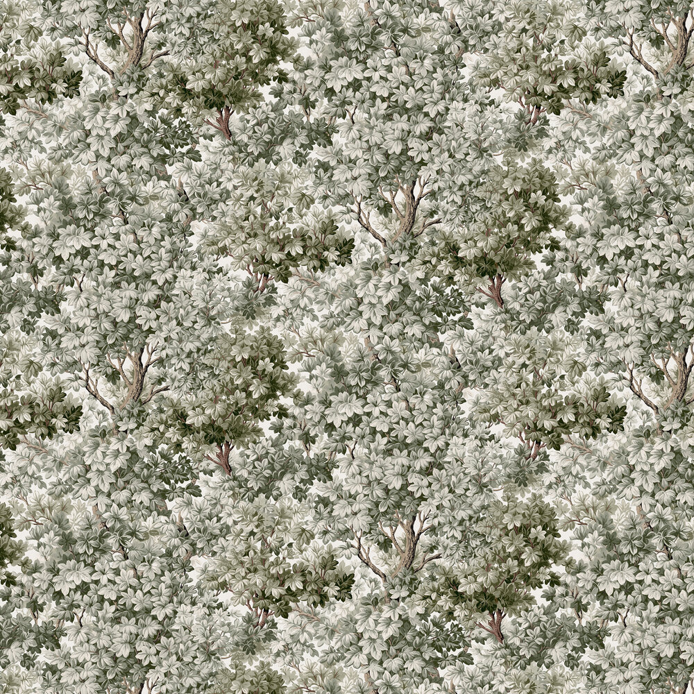 Coppice Wallpaper - Sage - by Graham & Brown