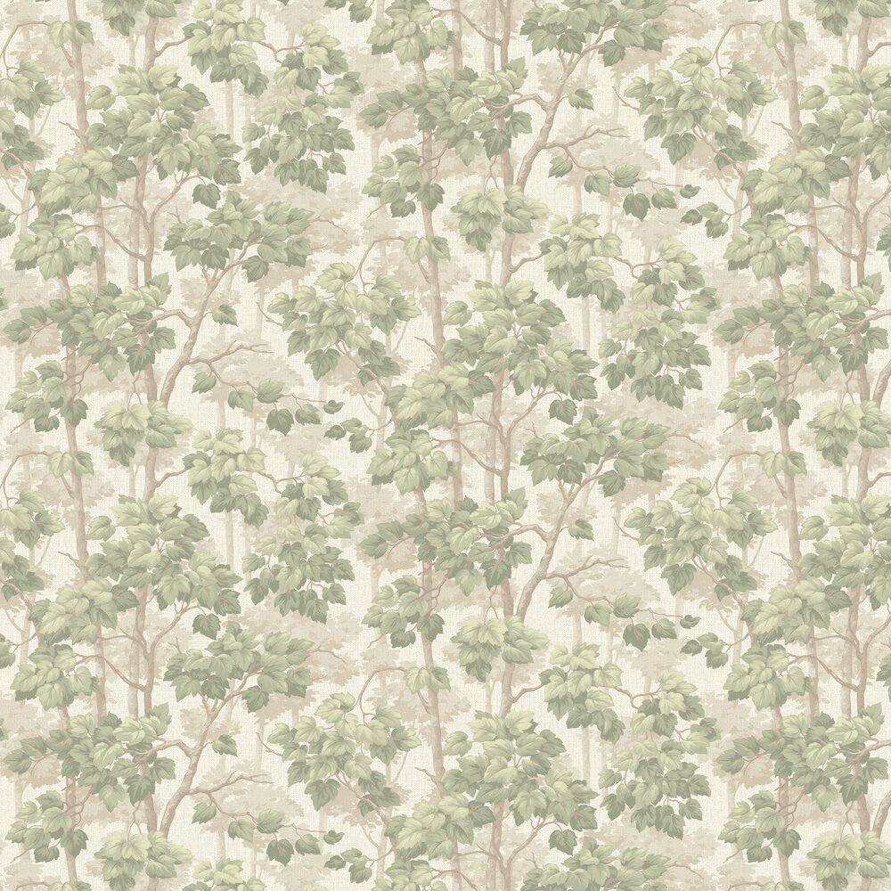 Giorgio Tree Wallpaper - Green - by Albany