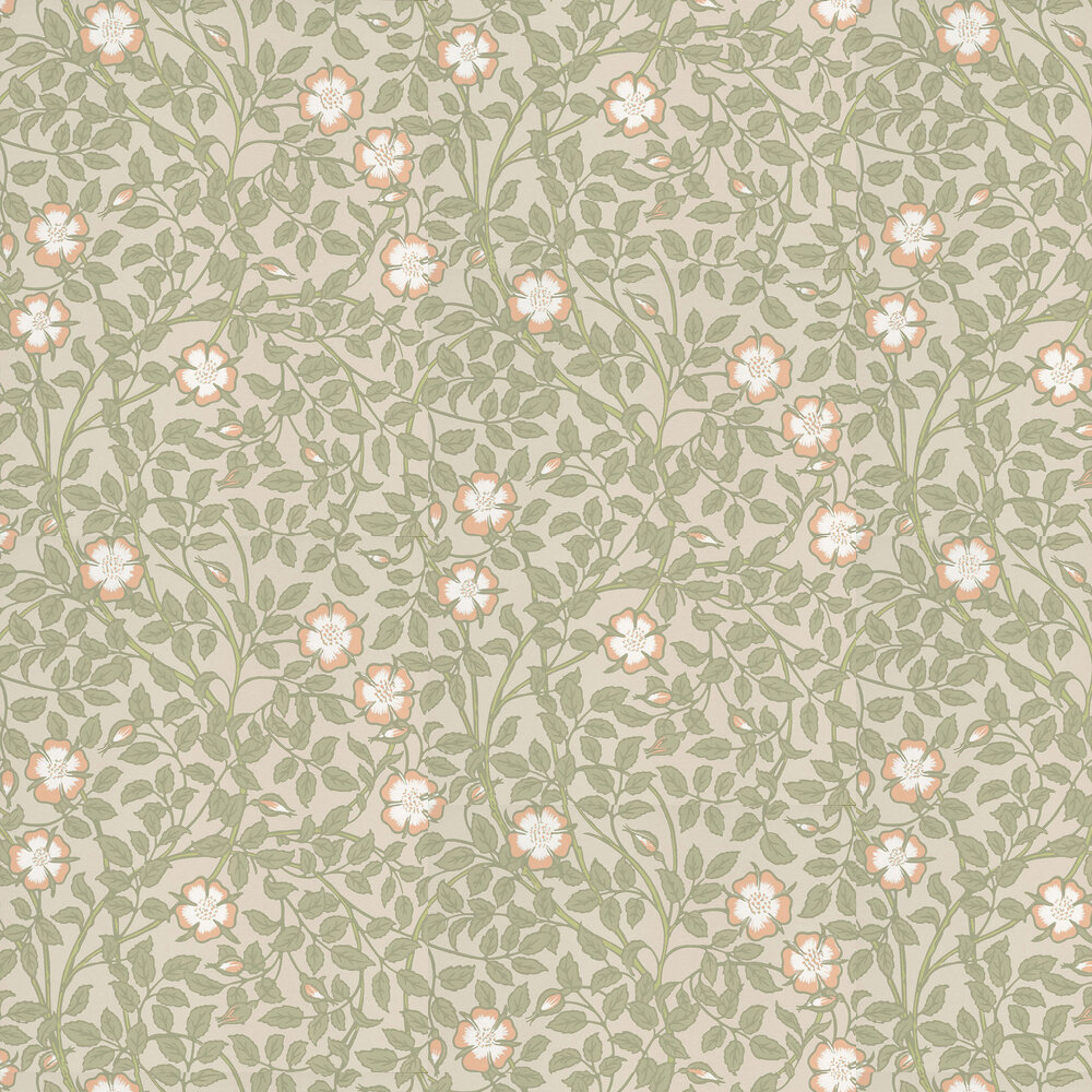 Briar Rose Wallpaper - Green Mist - by Little Greene