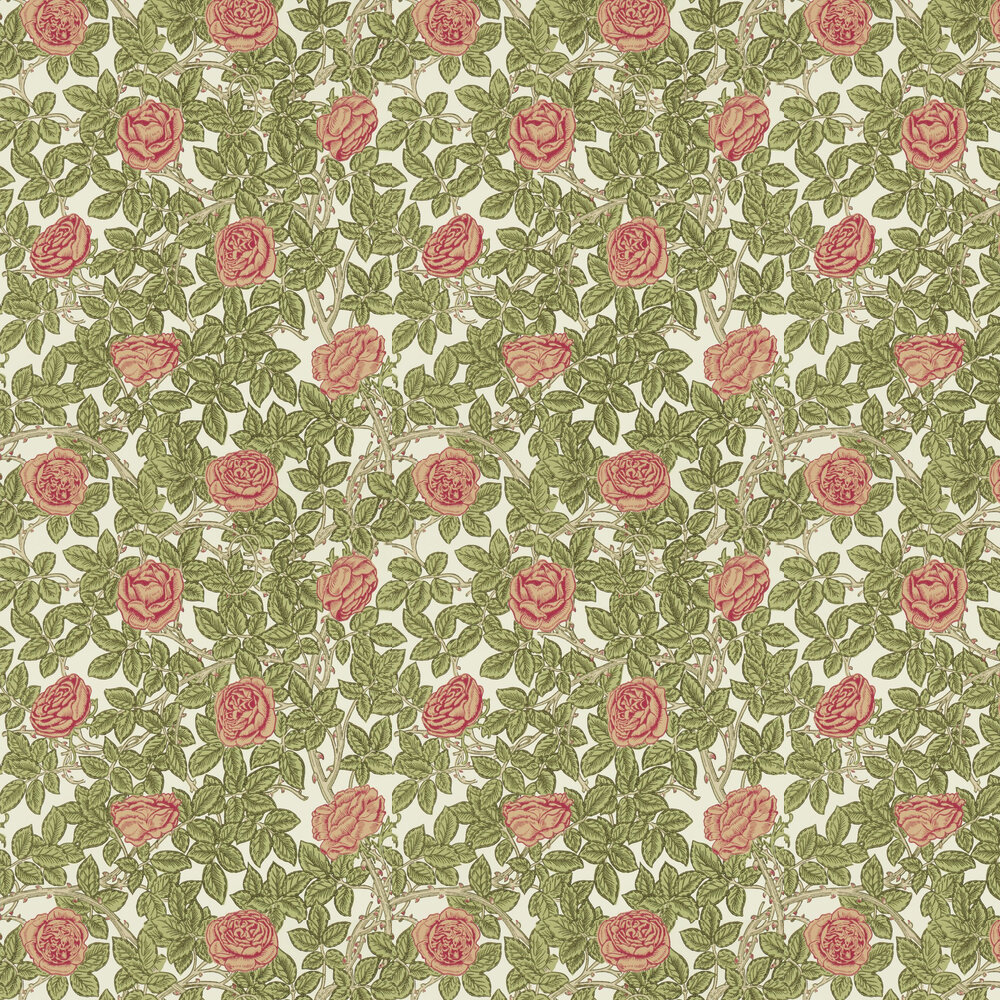 Rambling Rose Wallpaper - Twining Vine - by Morris