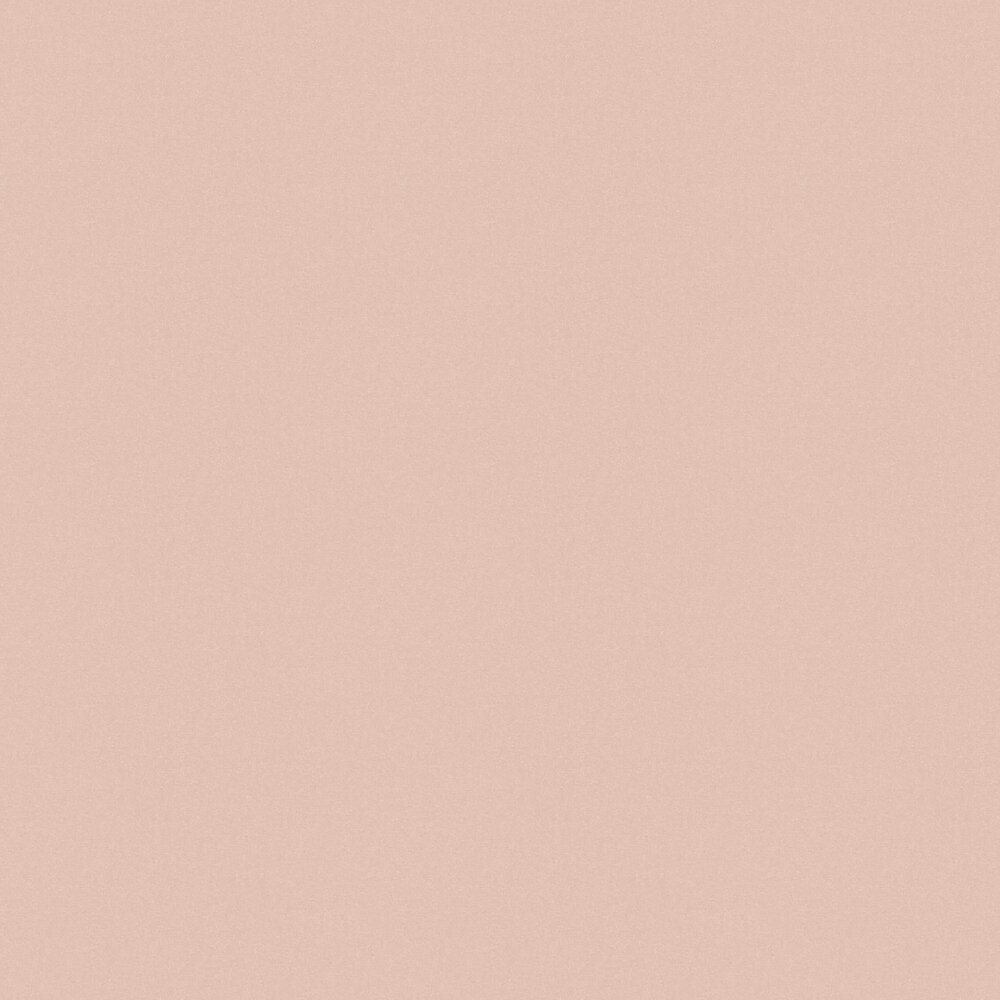 Light Pink Background Wallpaper Free PNG ImageIllustoon