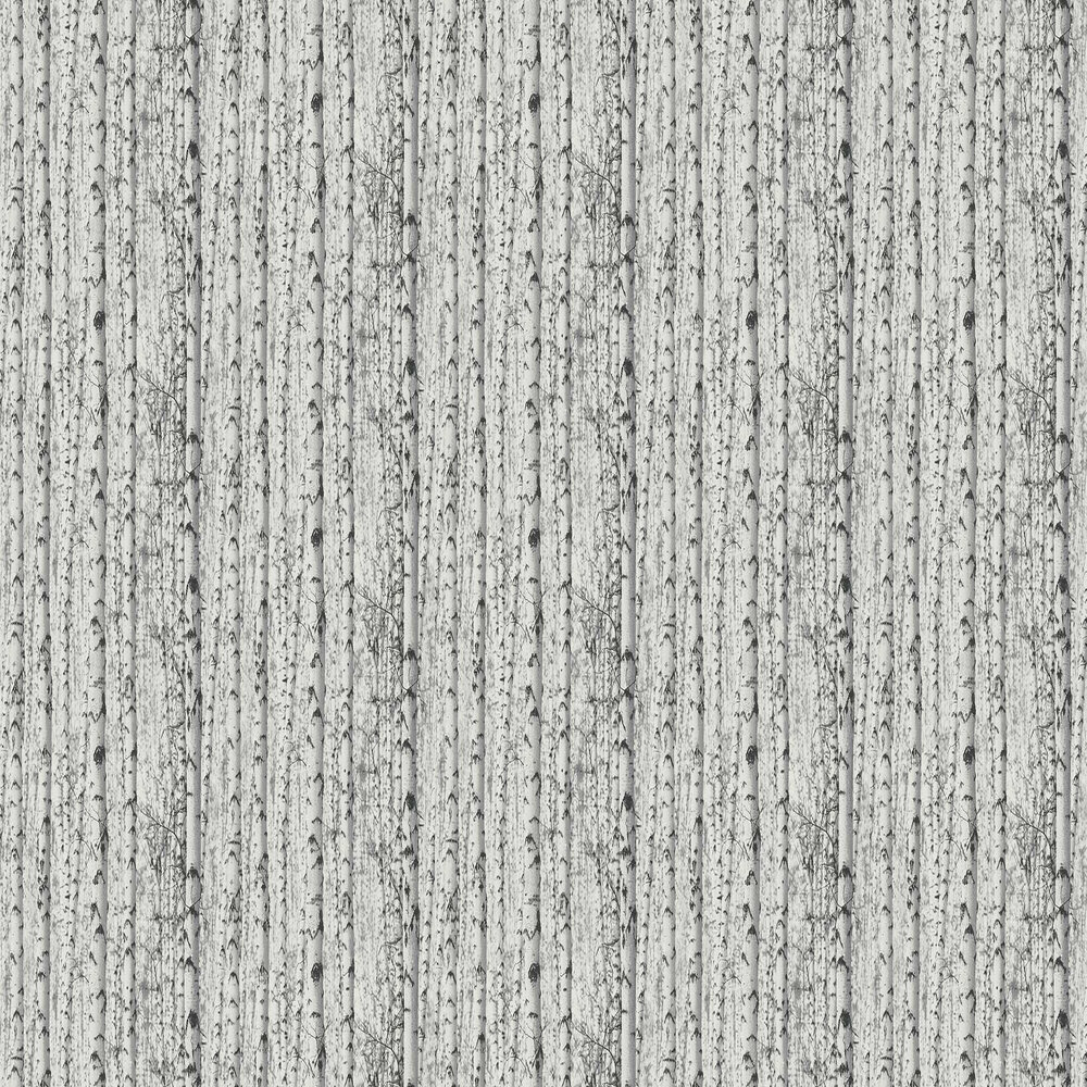 Birch Tree Motif  Wallpaper - White  - by Galerie