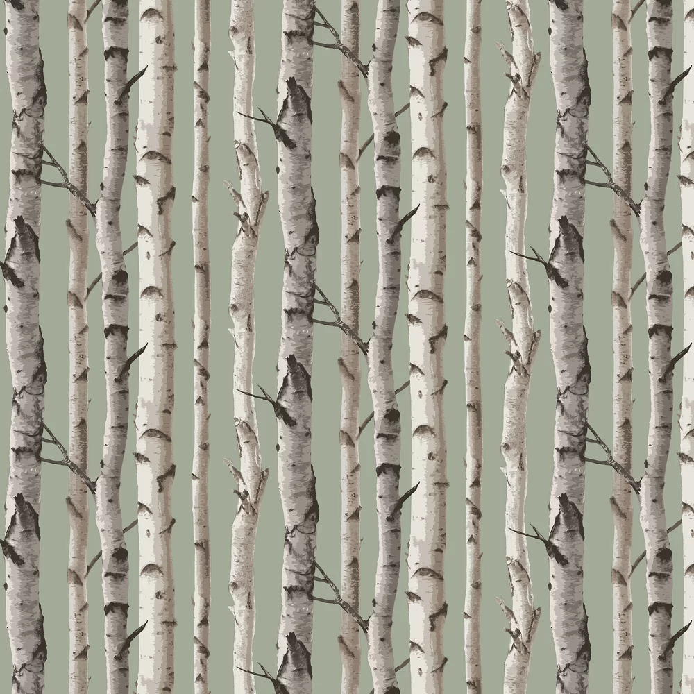Albany Wallpaper Birch Trees FD43291