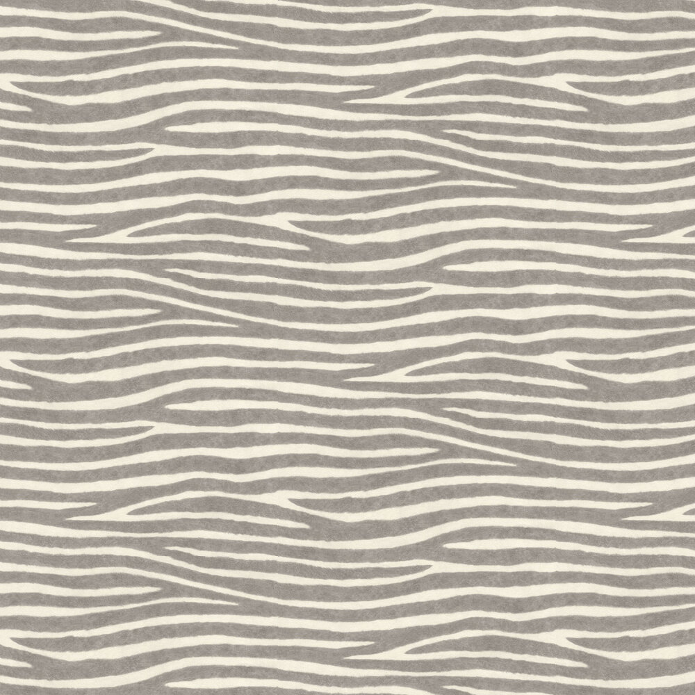 Zebra Stripes Wallpaper - Grey and White - by Albany