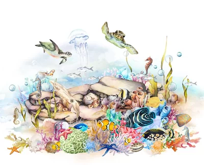 Albany Mural Coral Reef Large 365030