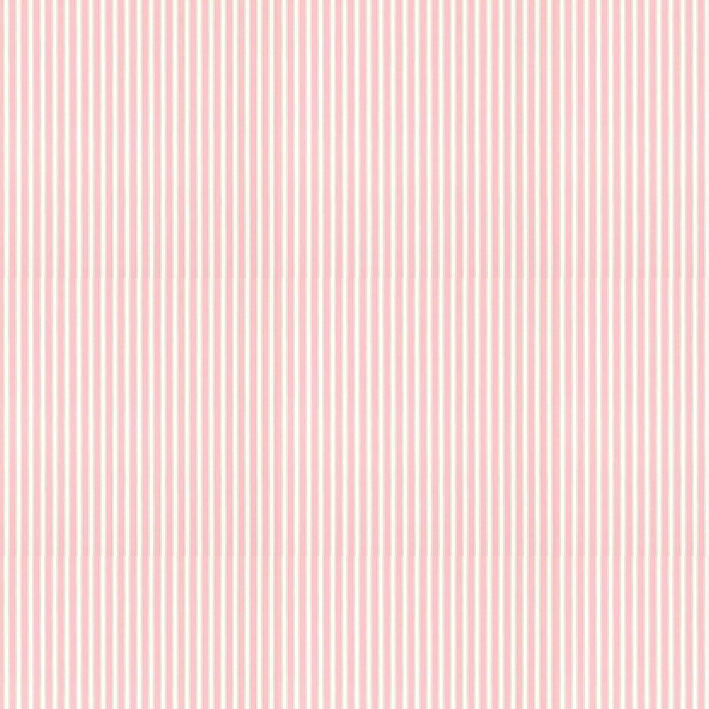 New Tiger Stripe Wallpaper - Rose / Ivory - by Sanderson
