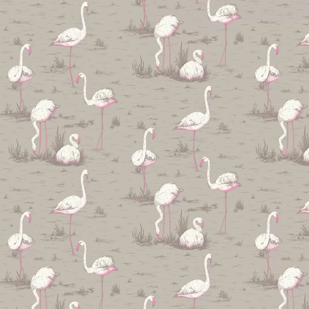 Cole & Son Wallpaper Flamingos 66/6042