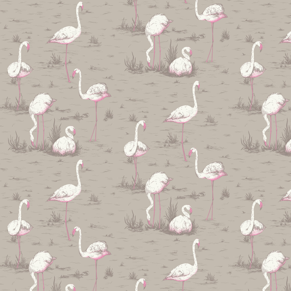 Flamingos Wallpaper - Grey - by Cole & Son