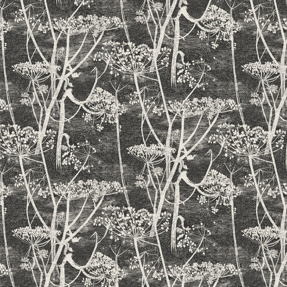Cow Parsley Wallpaper - Black / White - by Cole & Son