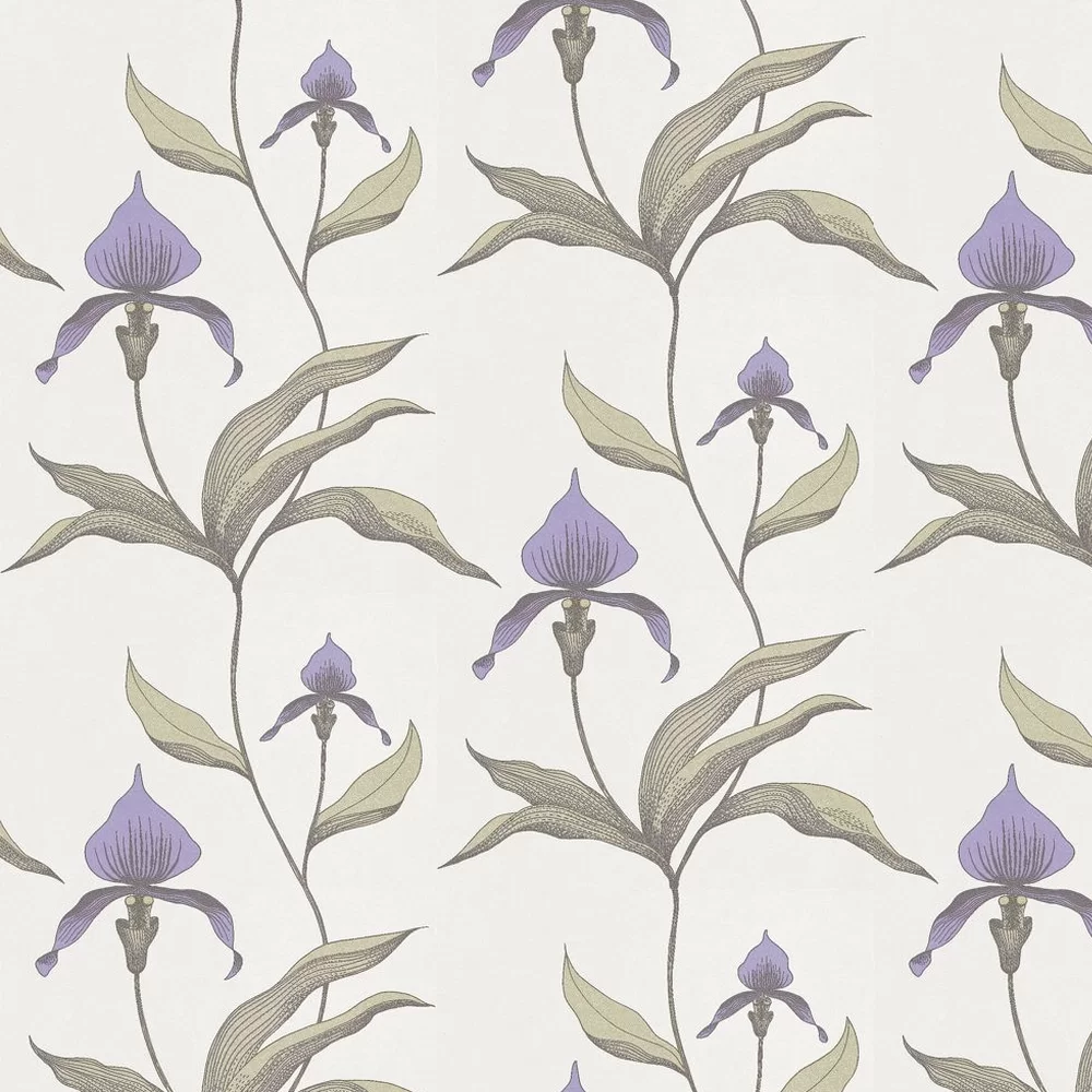 Cole & Son Wallpaper Orchid 66/4024
