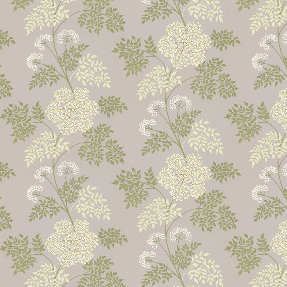 Cowparsley Wallpaper - Grey / Cream - by Sanderson