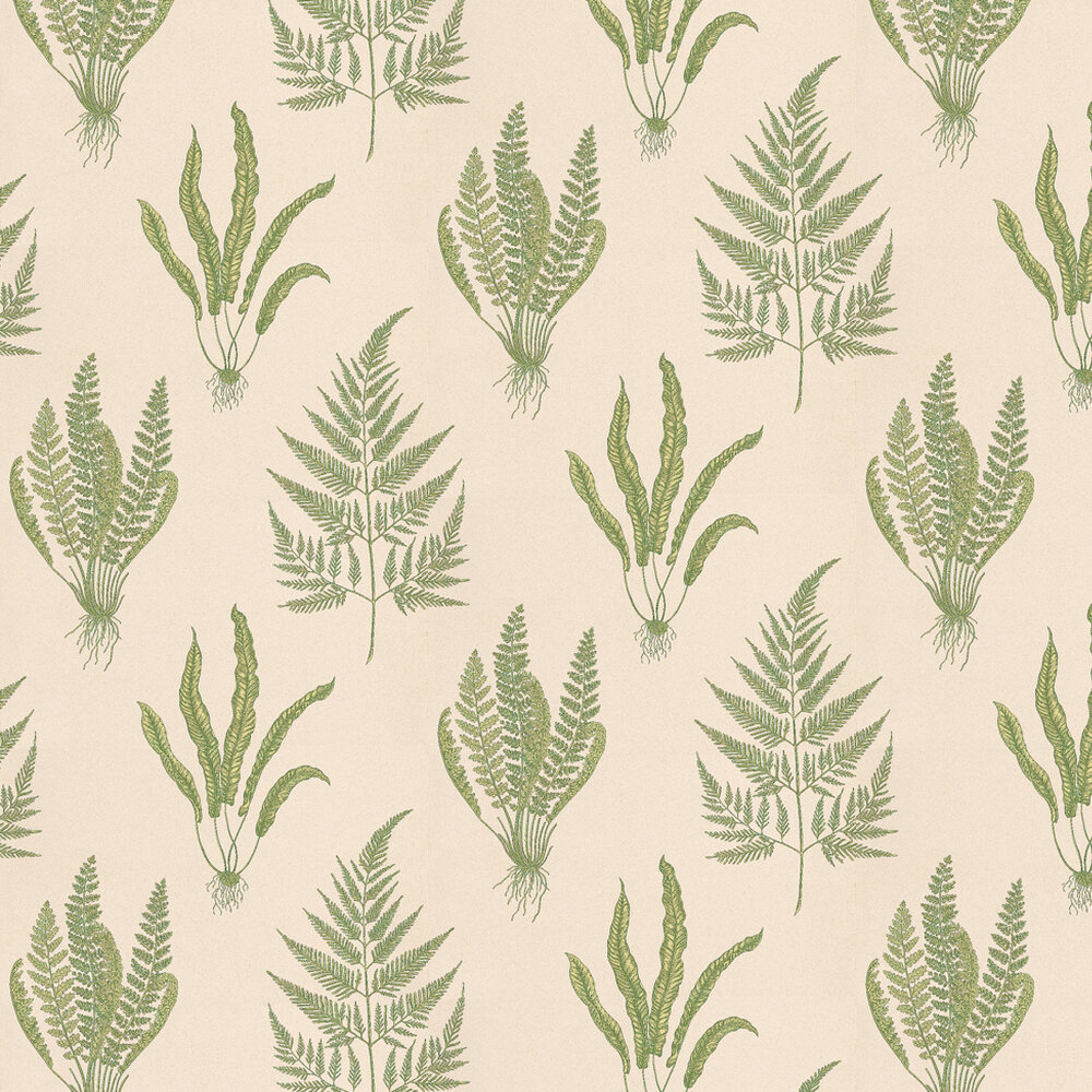 Woodland Ferns Wallpaper - Green / Stone - by Sanderson