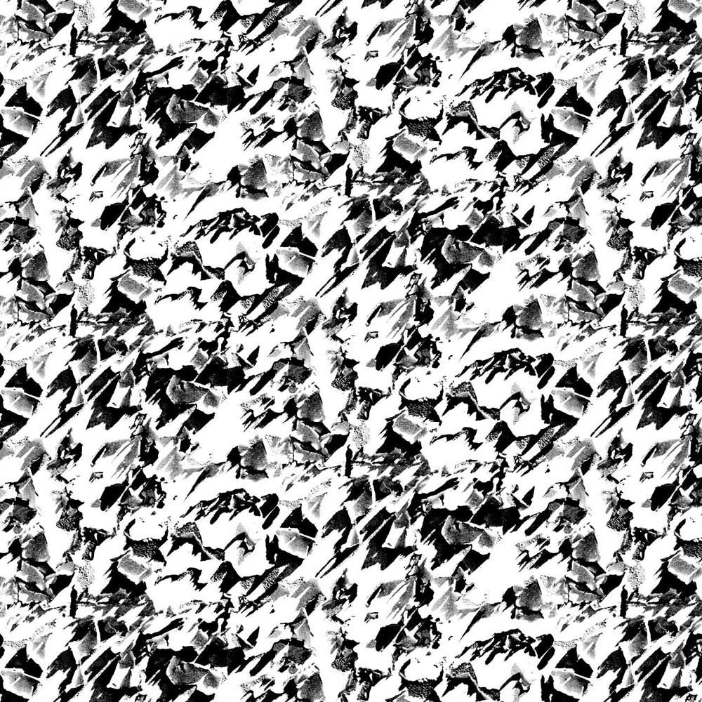 Desert  Wallpaper - Black / White - by Erica Wakerly
