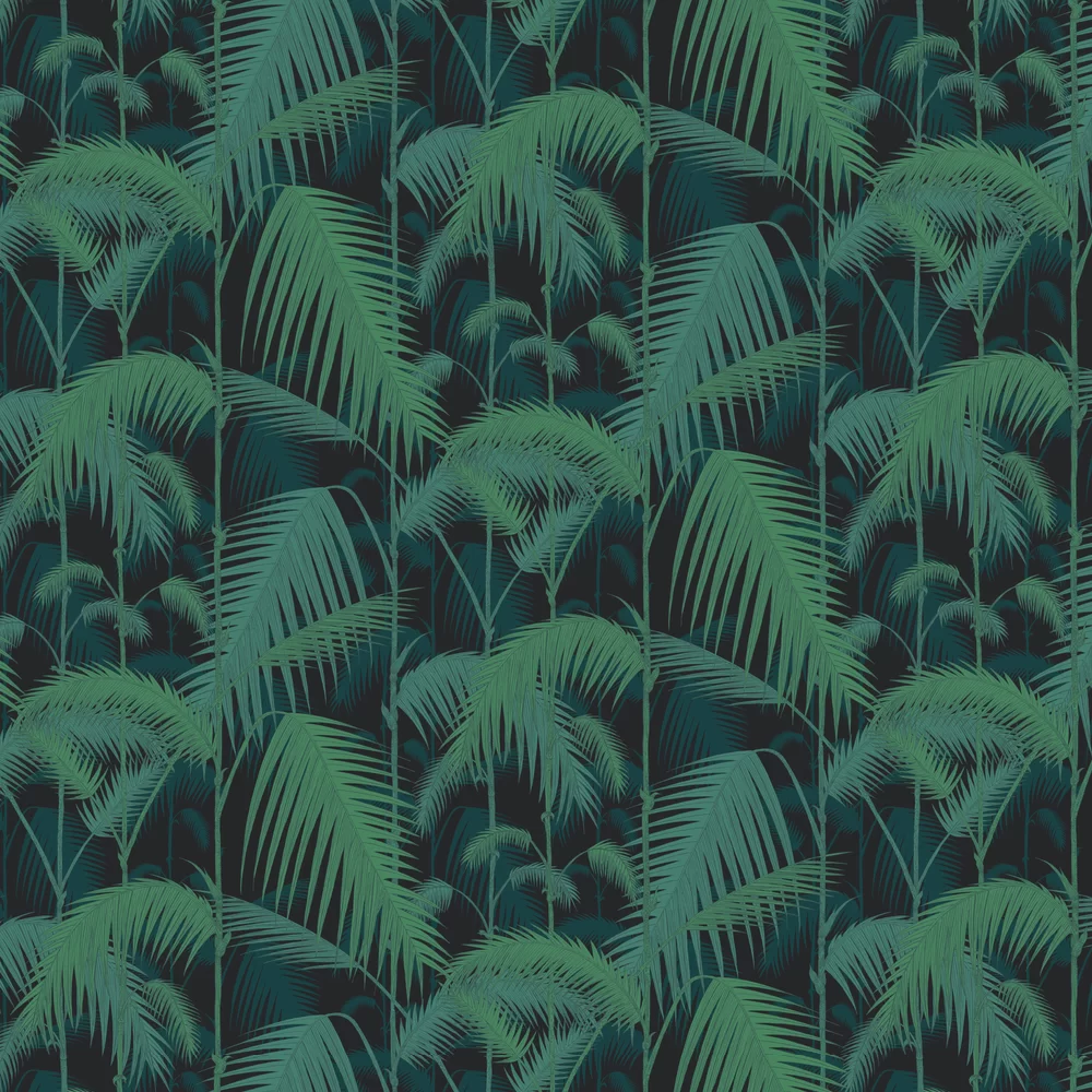 Palm Jungle by Cole & Son - Black - Wallpaper : Wallpaper Direct