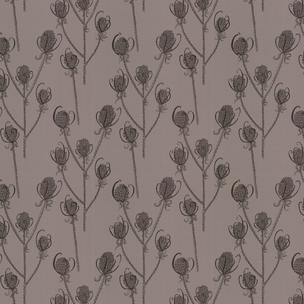 Teasels - Reenie Wallpaper - Black / Grey - by Hubbard and Reenie