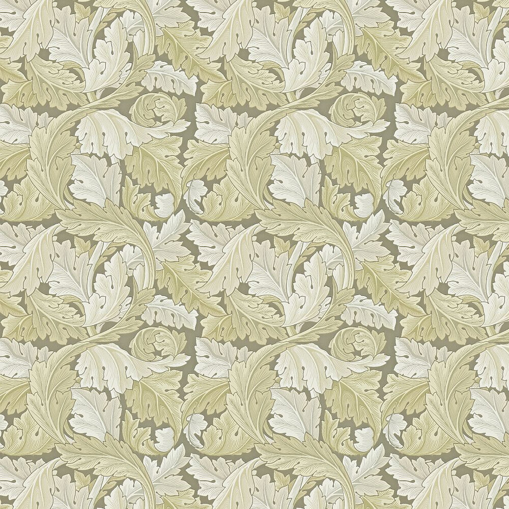 Acanthus Wallpaper - Pale Grey Green - by Morris