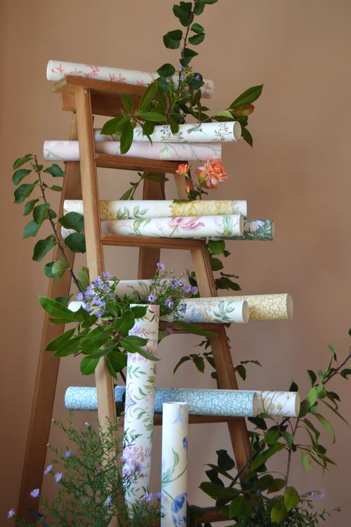 Laura Ashley Exclusive