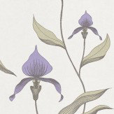 Orchid Wallpaper - Violet / Green / Off White - by Cole & Son. Click for more details and a description.