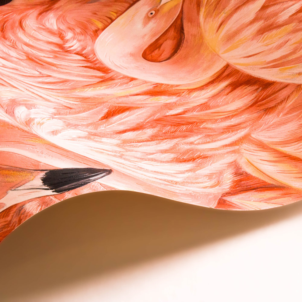 Flamingos Wallpaper - Pink - by Albany