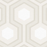 Hicks Grand Wallpaper - Grey & White - by Cole & Son. Click for more details and a description.