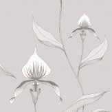 Orchid Wallpaper - White - by Cole & Son. Click for more details and a description.