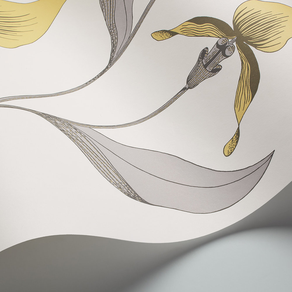 Orchid Wallpaper - Yellow - by Cole & Son
