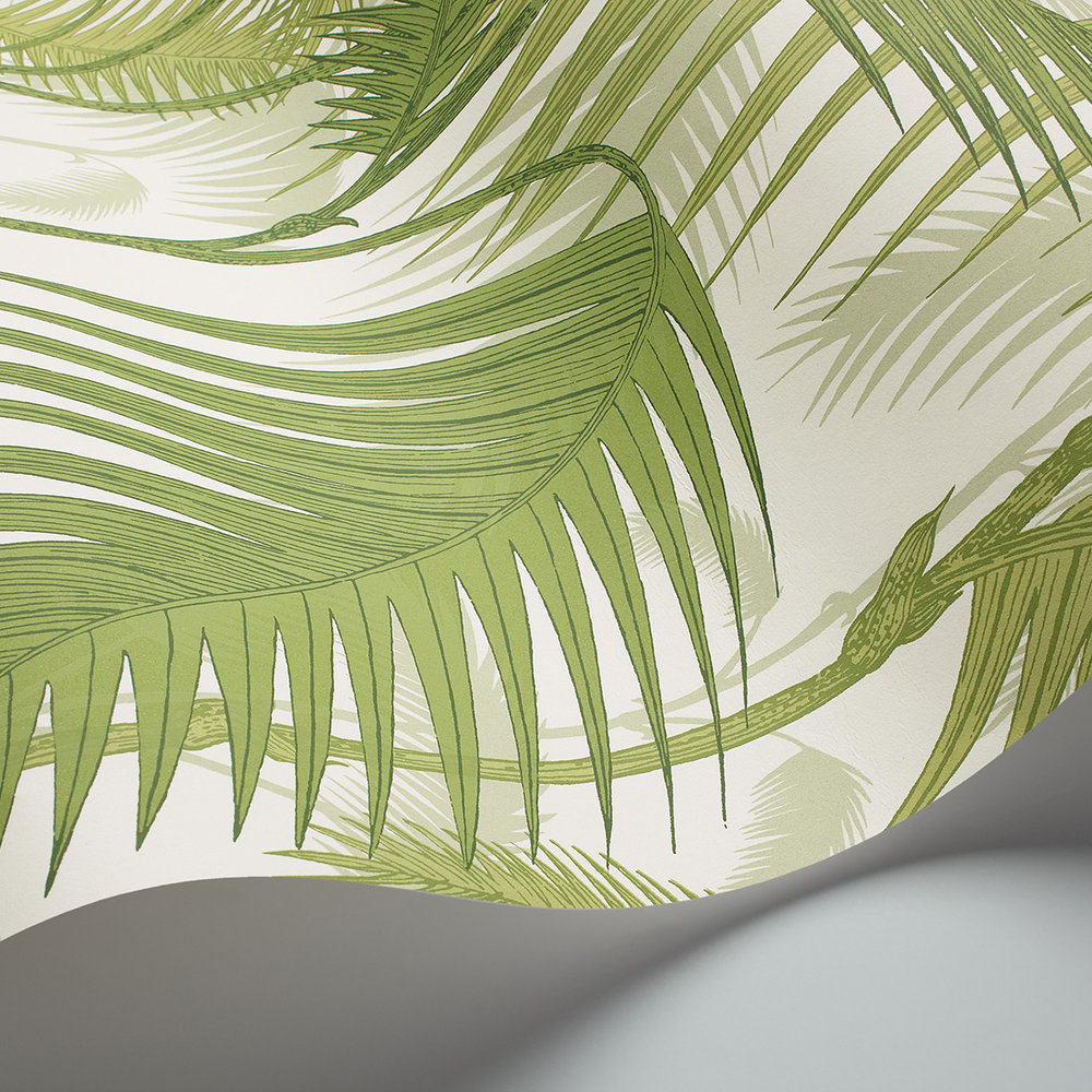 Palm Jungle Wallpaper - Ivory - by Cole & Son