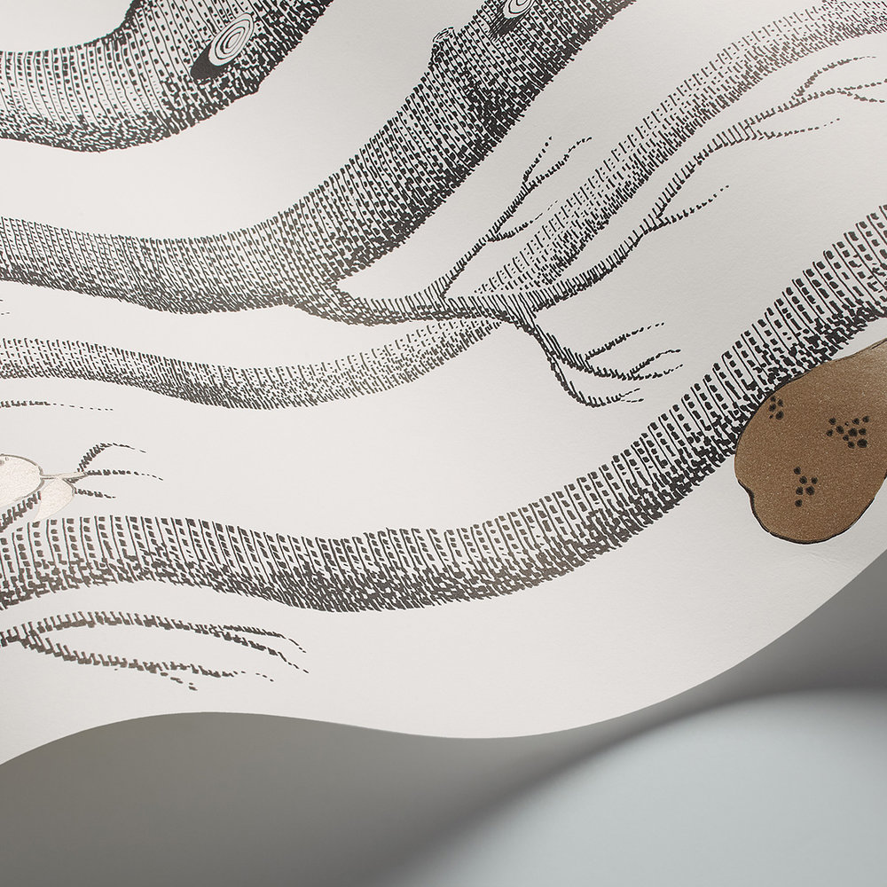 Woods and Pears Wallpaper - Black & White - by Cole & Son