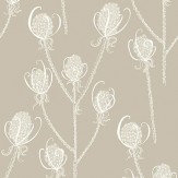 Teasels - Cream Tea Wallpaper - Cream / Soft Brown - by Hubbard and Reenie. Click for more details and a description.