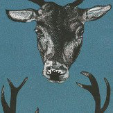 Stag Head Teal Wallpaper - by Graduate Collection. Click for more details and a description.
