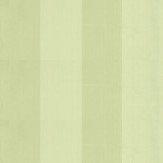 Broad Stripe Wallpaper - Apple Green - by Farrow & Ball. Click for more details and a description.