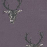 Stag Print Plum Wallpaper - by Graduate Collection. Click for more details and a description.