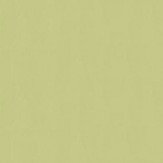 Plains Wallpaper - Light Moss Green - by Farrow & Ball. Click for more details and a description.