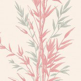 Bamboo  Wallpaper - Pink - by Cole & Son. Click for more details and a description.