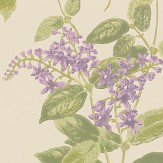 Madras Violet  Wallpaper - Olive and Lavender - by Cole & Son. Click for more details and a description.